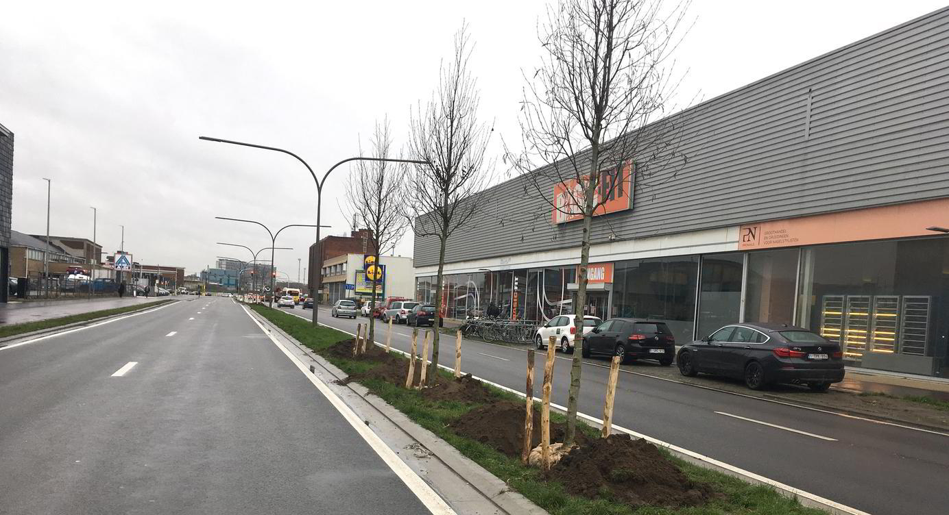 De eerste bomen zijn al aangeplant in de middenberm