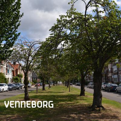 Analysenota Venneborg