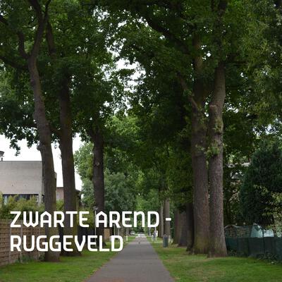 Analysenota Zwarte Arend - Ruggeveld