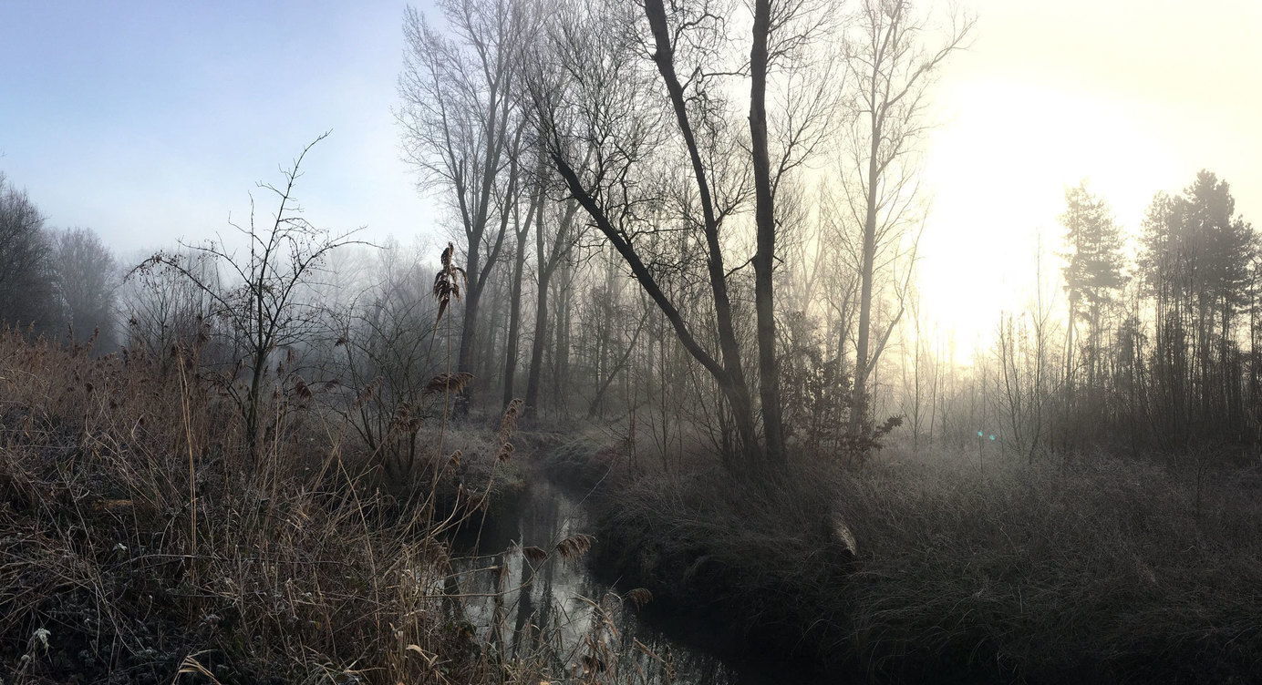 Het Groot Schijn baant zich een weg doorheen het volledige park.