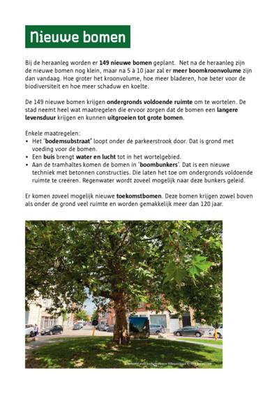 Poster 8: Bomen (vervolg)