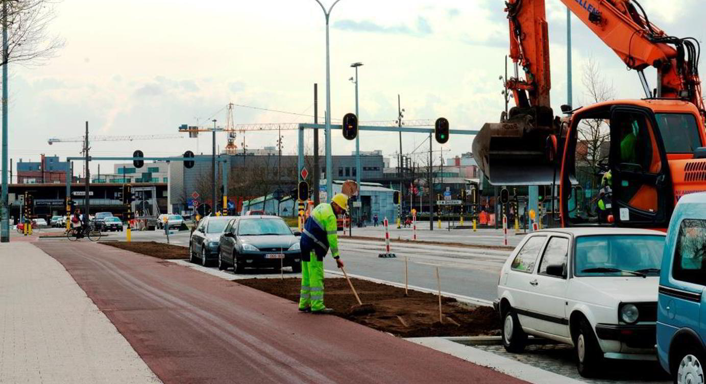 In de bermen van de Singel werden meer dan 600 nieuwe bomen aangeplant.