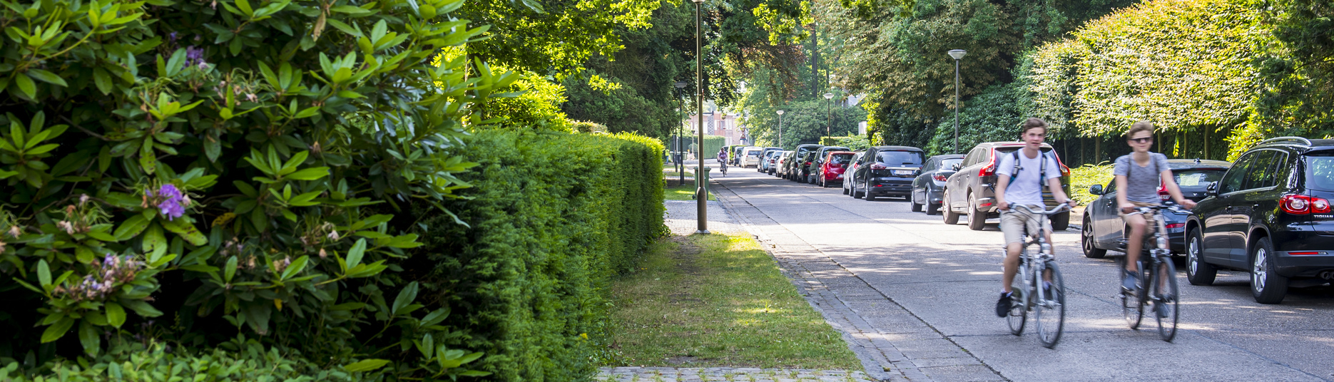 De wijk Mariaburg is een wijk met veel groen.