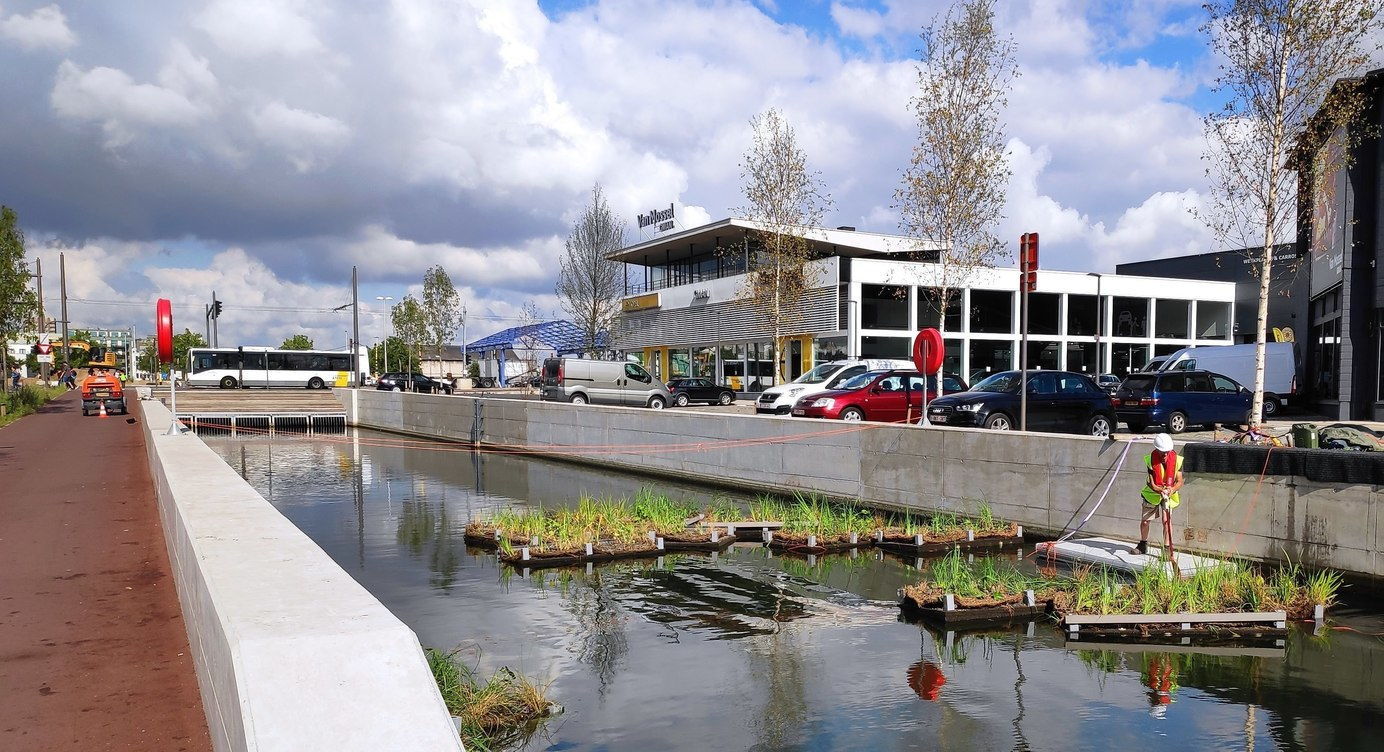 Het plaatsen van de drijvende planteneilanden in het IJzerlaankanaal.