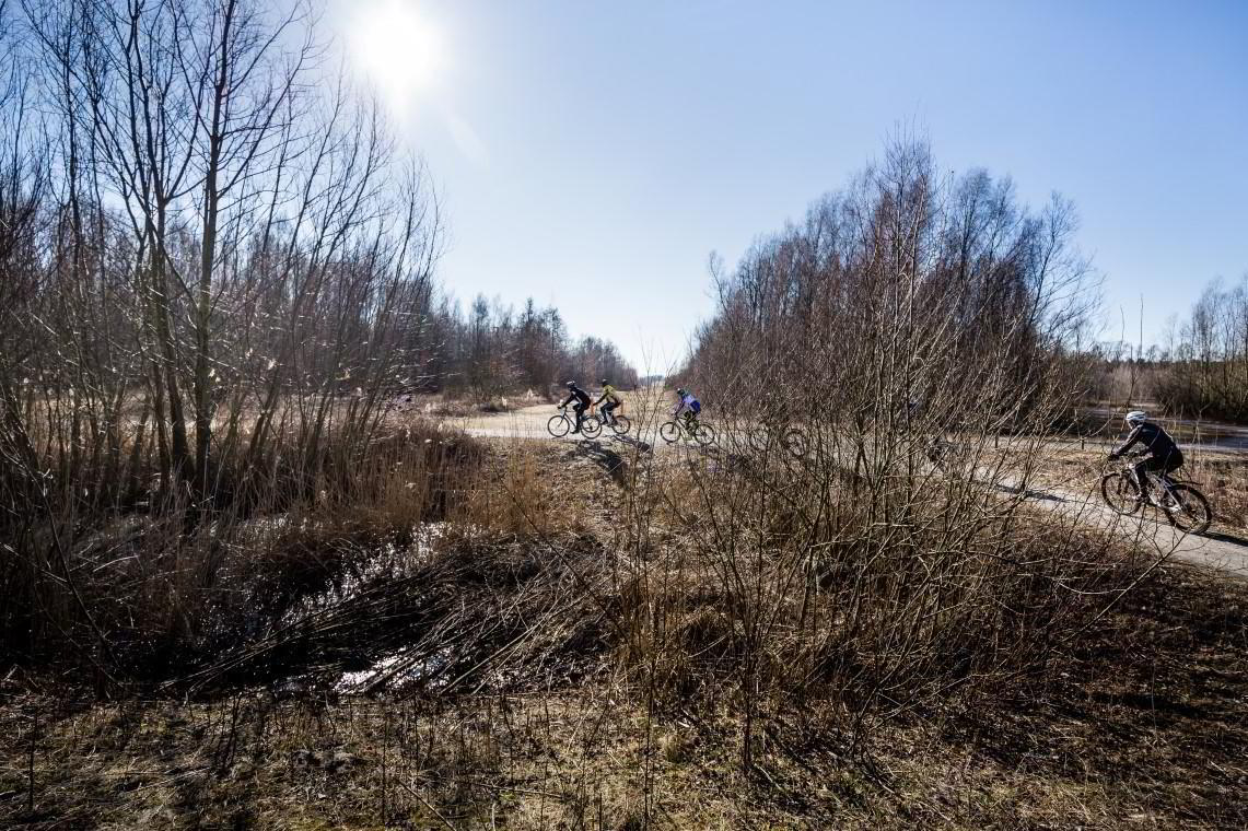 Middenvijver is nu al een mooi groen gebied op Linkeroever. Dankzij de nieuwe plannen zou het ook toegankelijker worden.