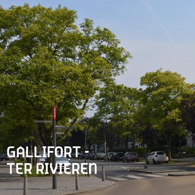 Analysenota Gallifort - Ter Rivieren