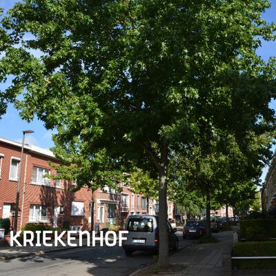 Analysenota Kriekenhof