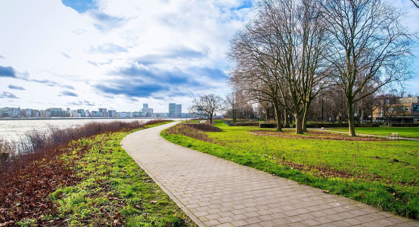 Scheldeboorden