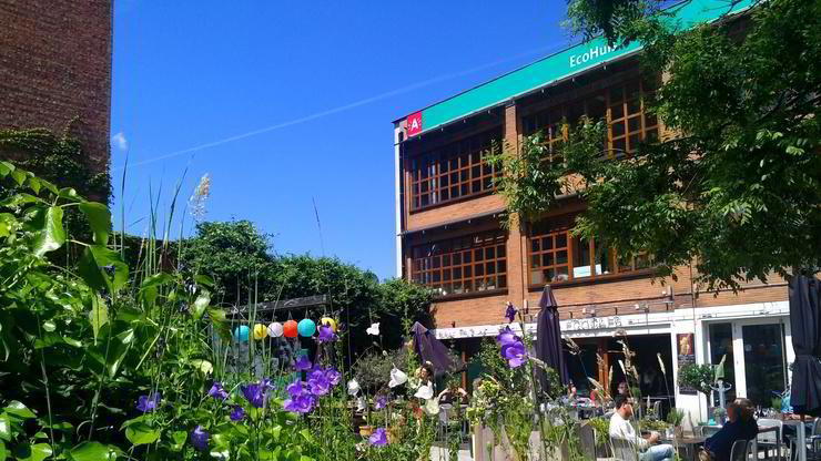EcoHuis in de zomer