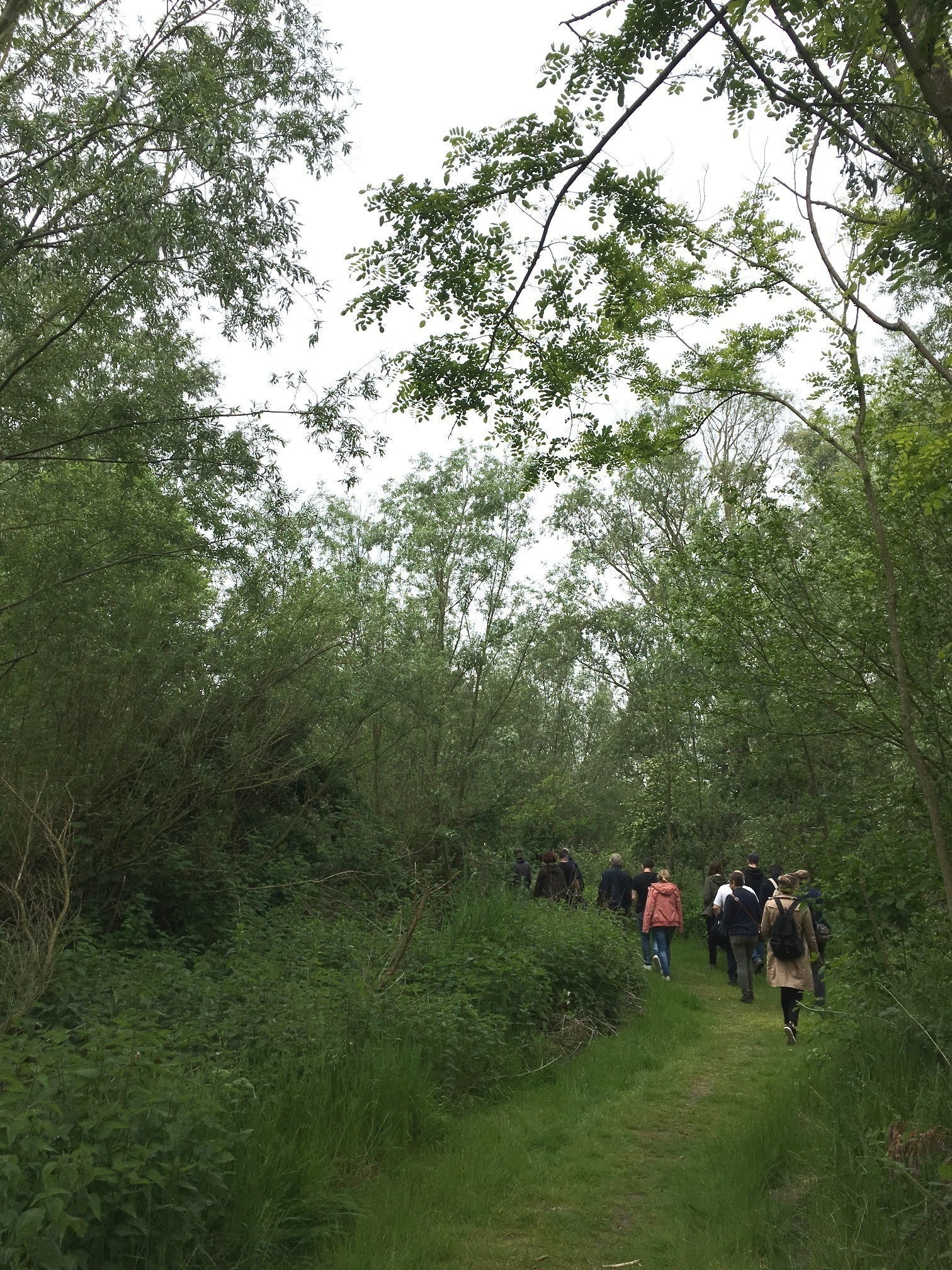 De wandelaars duiken de natuur in Park Groot Schijn in.