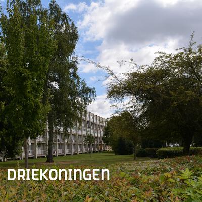 Analysenota Driekoningen