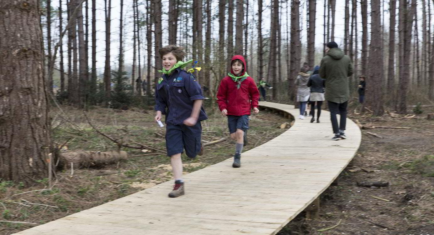 In het speelbos kan je voluit spelen.