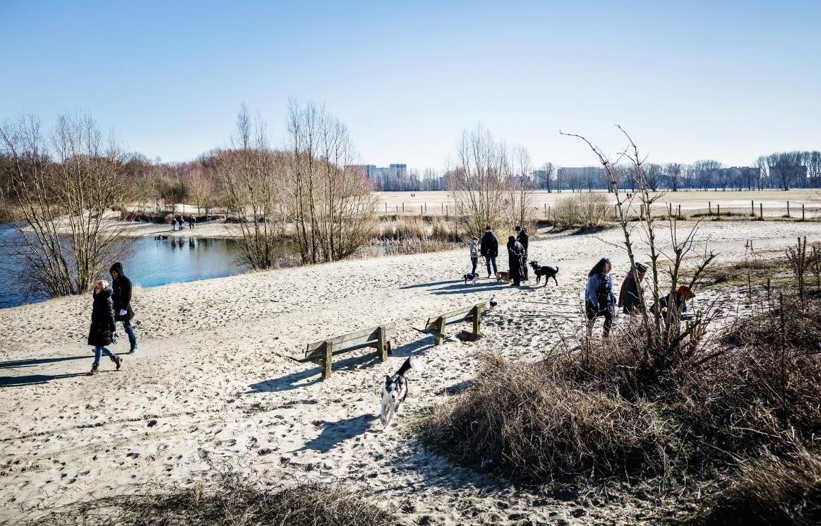 Middenvijver is nu al een mooi groen gebied op Linkeroever, met hondenloopzone.