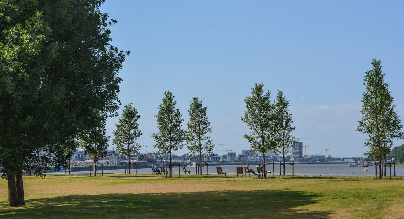 Droogdokkenpark