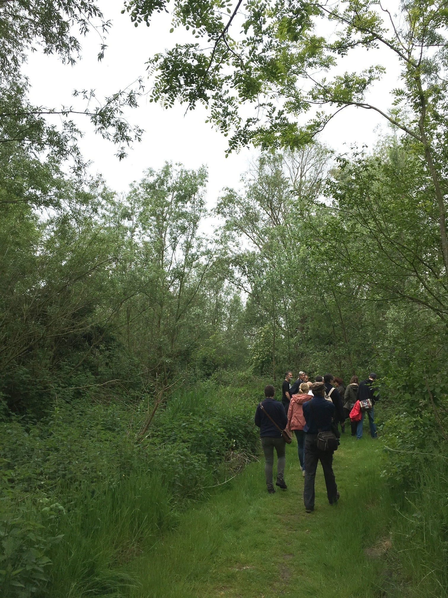 De wandelaars duiken de natuur in Park Groot Schijn in.