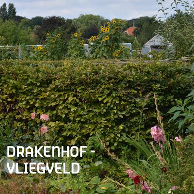 Analysenota Drakenhof - Vliegveld