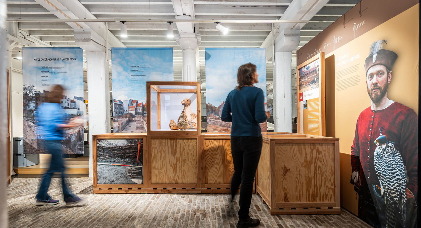 Expo 'Zeven eeuwen FALCON'