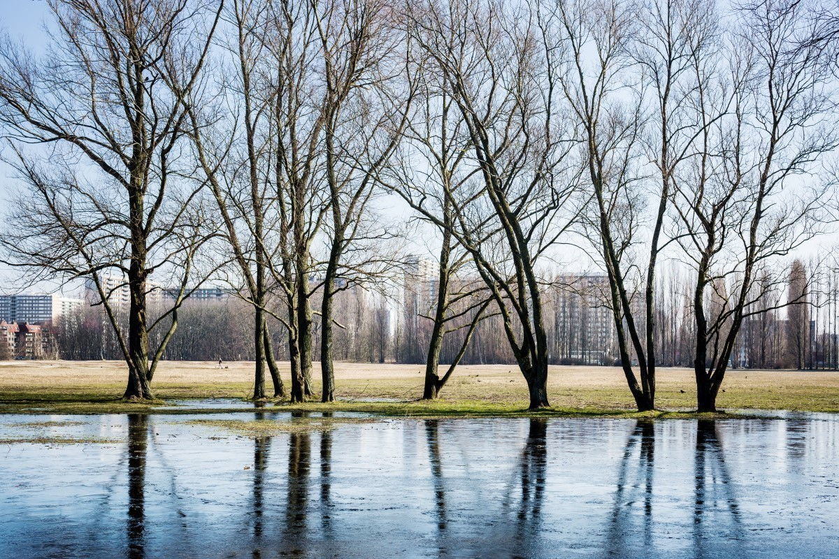 Middenvijver is nu al een mooi groen gebied op Linkeroever. Dankzij de nieuwe plannen zou het ook toegankelijker worden.