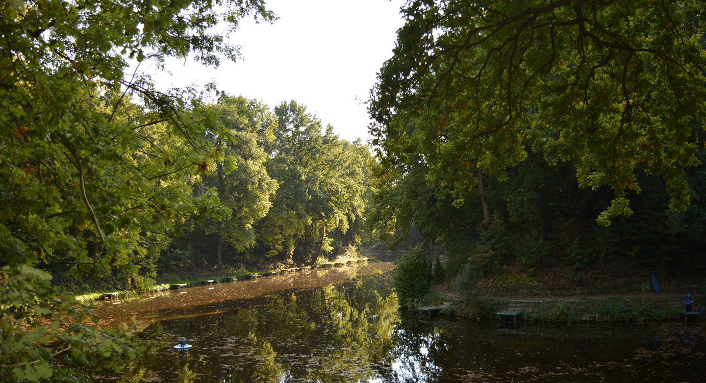 Een van de veertien groenlandschappen in de stad.