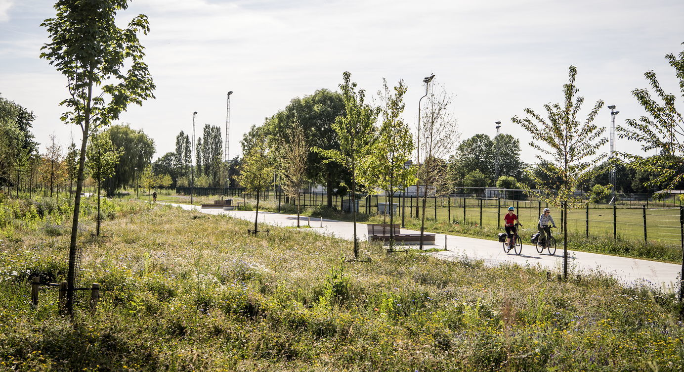 De parkaanleg langs de wandelpaden doorheen Park Groot Schijn